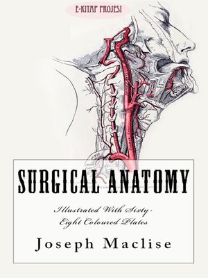 cover image of Surgical Anatomy